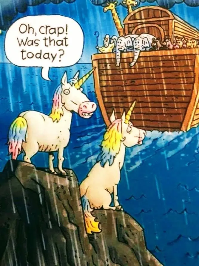 funny picture to make you laugh