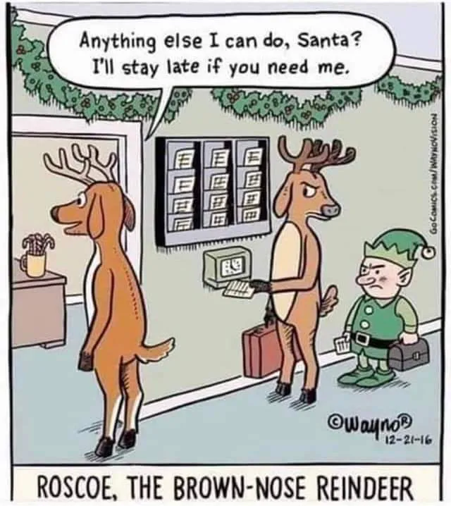 a funny picture to make you laugh