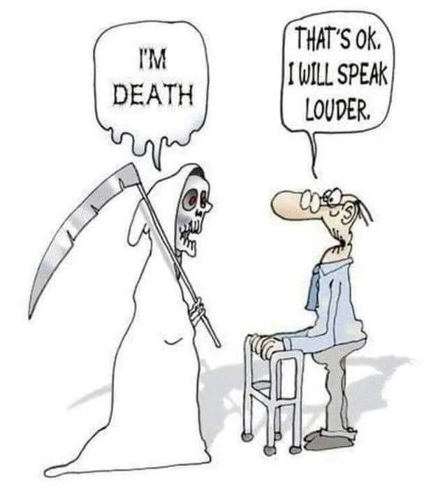 a funny picture to make you laugh