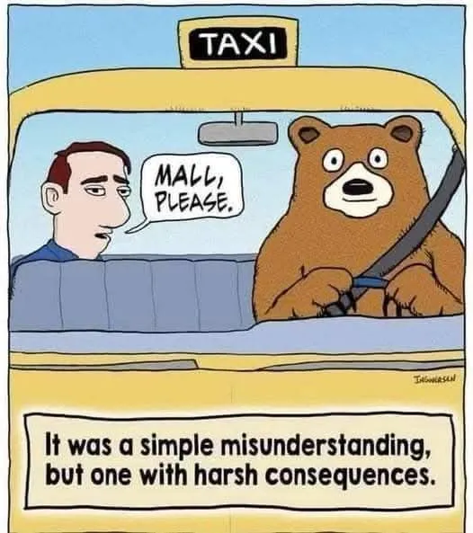 funny picture to make you laugh