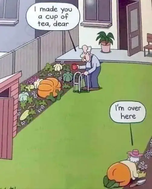 a funny picture to make you laugh